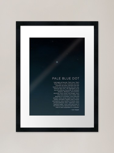 Carl sagan pale - blue, 2