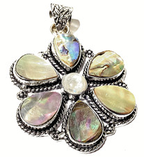 Natürlich abalone muschel - abalone,
