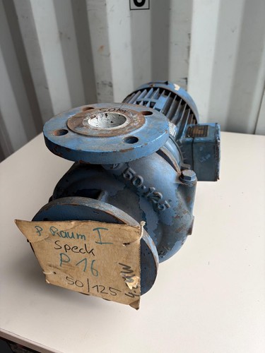 Speck pumpen 125 - 50/125, –