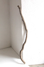 Schwemmholz Treibholz Skulptur L 52 cm Treibgut  ♥️ Schlange