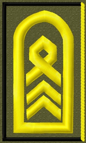 Bundeswehr rangabzeichen - bundeswehr,