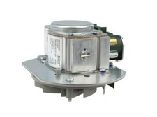 Glühwürmchen 0020018823