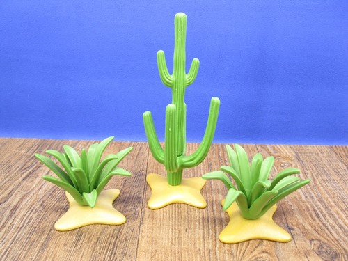 Kaktus agave western - agave,