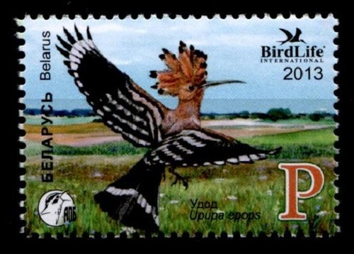 Vögel wiedehopf 1w - vögel., wiedehopf.