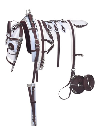 Reitsport zurrgurt - reitsport,
