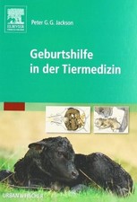 Geburtshilfe der - in,