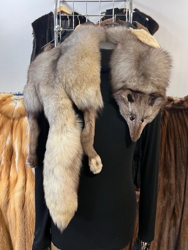 Blaufuchs fuchs kragen pelz - blaufuchs,