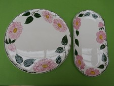 Villeroy & Boch Wildrose . 1 Tortenplatte & 1 Königskuchenplatte  . V&B