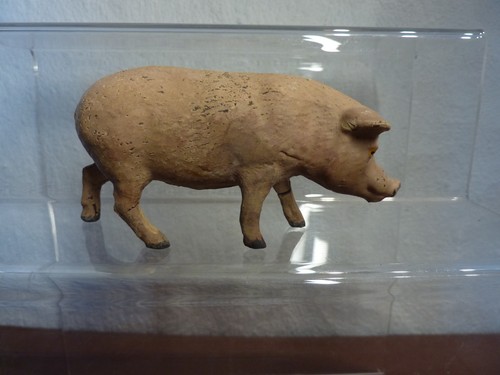 Seltenes uraltes schwein aus - seltenes,