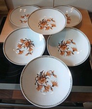 6  DDR Ilmenau Graf von Henneberg Suppenteller Blütendekor Rand 21,2 x 3,8 cm