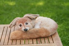 Liegender Fuchs von Steiff