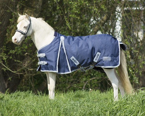Qhp falabella mini shetty - falabella, mini-shetty