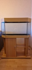 aquarium komplett mit