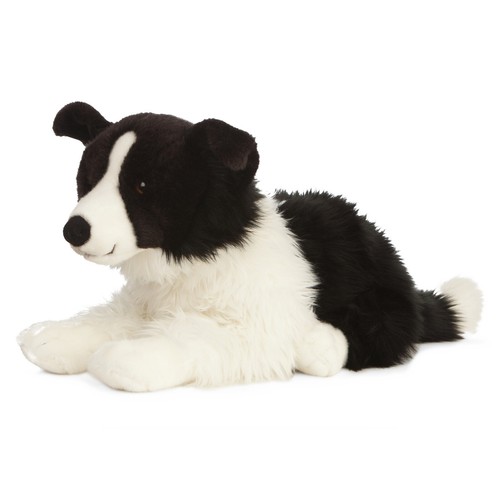Border collie liegend hund - liegend,