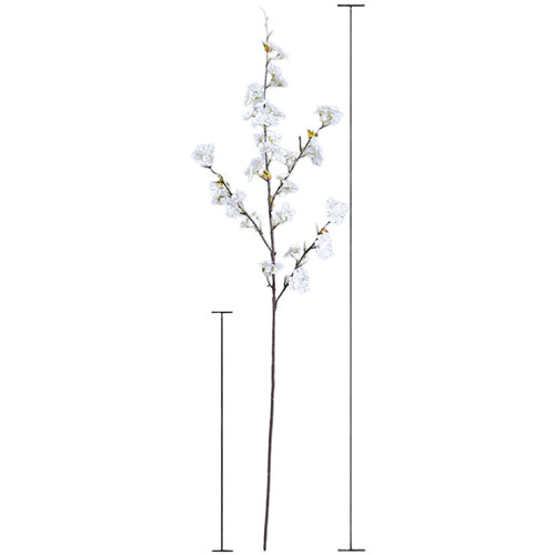 Für kirschblüten - für,