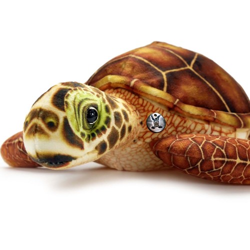 Schildkröte kuscheltier - schildkröte,