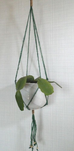 Blumenampel makramee - blumenampel,