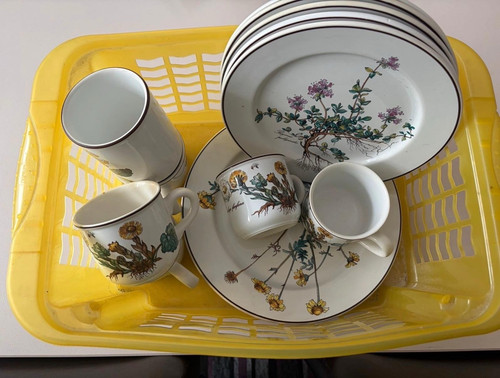 Villeroy boch botanica - villeroy, &