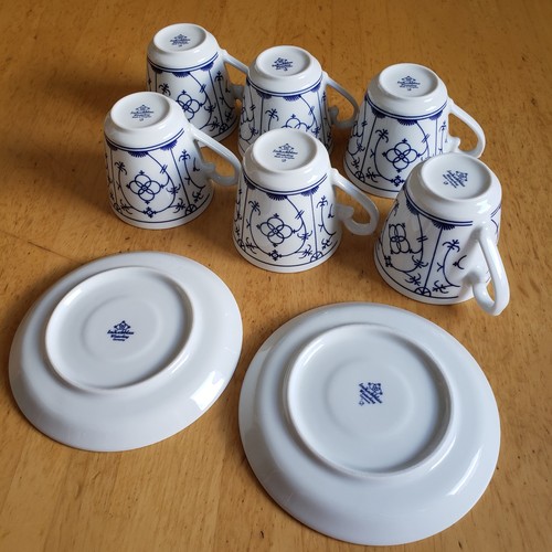 Winterling indisch blau - winterling,