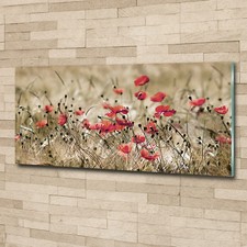 Glas-Bild Wandbilder Druck auf