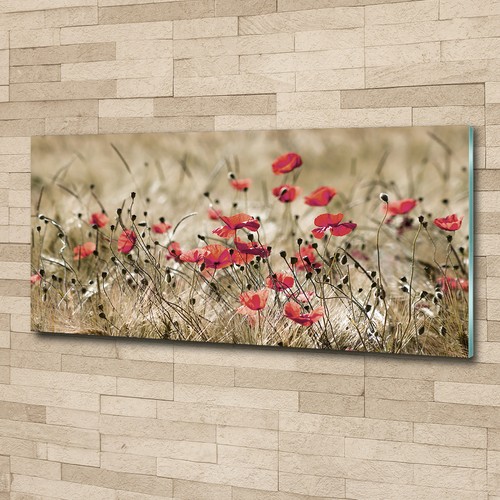 Glas bild wandbilder druck auf - druck,