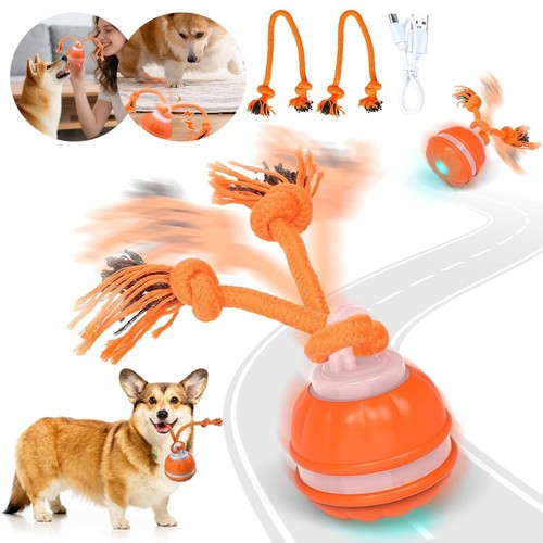 Hundespielzeug - hundespielzeug,