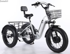 20-Zoll-Fat-Reifen-Elektrodreirad 500W 48V Lasten-Liefer-E-Dreirad für Erwachsen