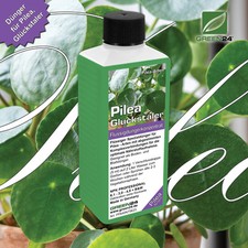 Pilea dünger - pilea-dünger,