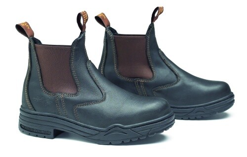 Reitschuh mit stahlkappe - reitschuh,