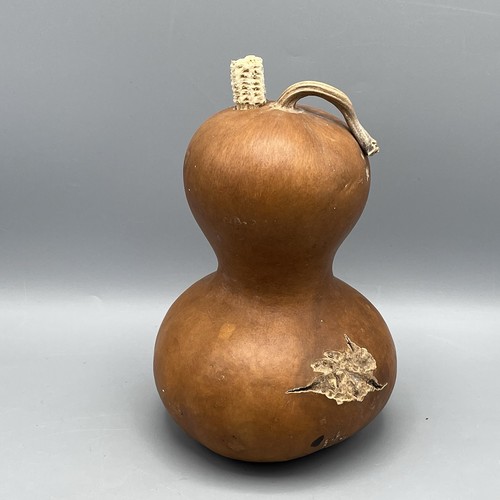 Kalebasse flasche kürbis - kalebasse,