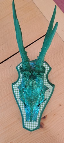 Trophäe rehbock - trophäe,