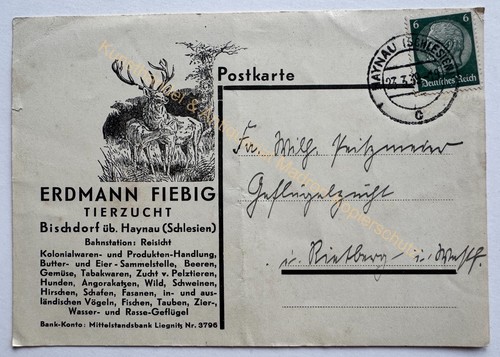 Postkarte reklame bischdorf - reklame,