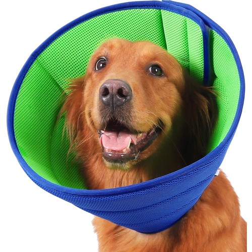 Hund halskrause schutzkragen - halskrause,