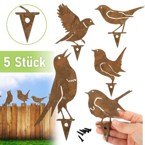 Rost vogel vögel - rost,