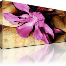 Lilie Blume Steine Bild Bilder Leinwand Wandbild Kunstdruck Dekoration