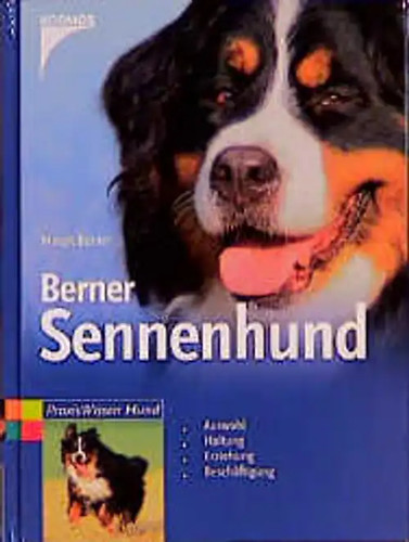 Berner sennenhund - berner,