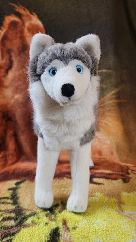 Kösen husky hund stehend - husky,