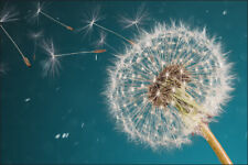 VLIES FOTOTAPETE XXL TAPETE