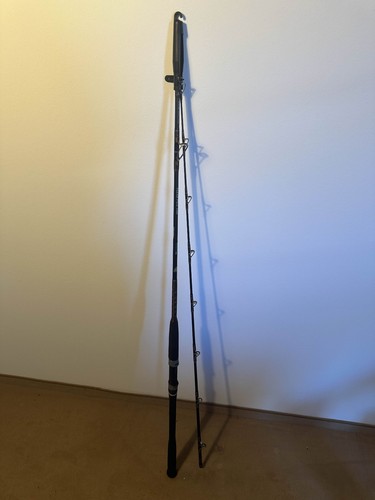 Angelrute balzer flexopilk 200 - angelrute,