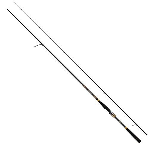 Daiwa spinnrute morethan - daiwa,