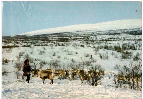 Finland lappalainen ja porot - -,