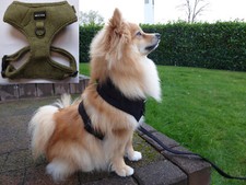 Hundegeschirr paws by jaylo