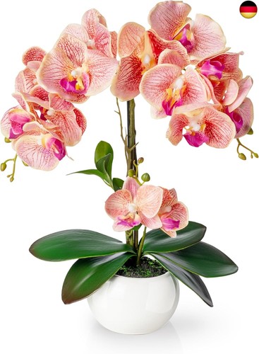 Pasch orchideen künstlich - orchideen,