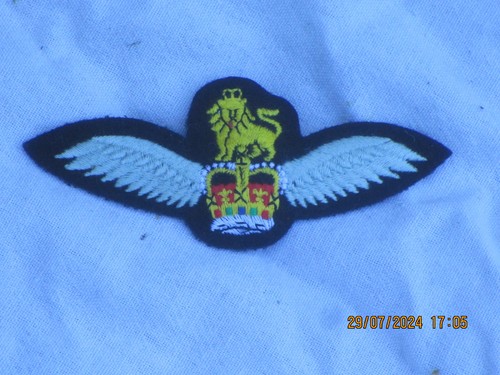 Pilotenschwinge farbig - pilotenschwinge,,
