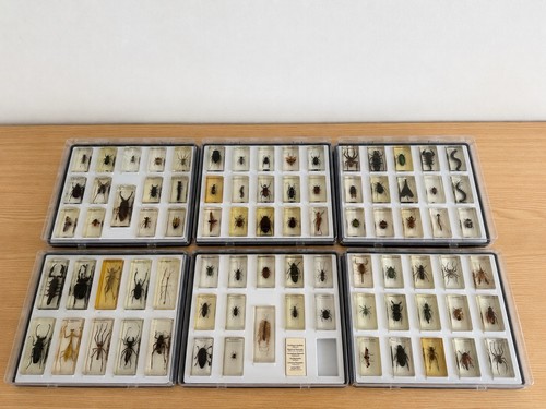 Hachette mini biester sammlung - hachette, mini-biester