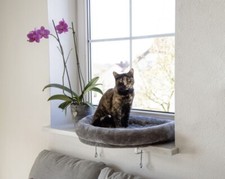 Katzen Fenster Liegebett grau