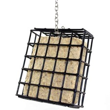 Pfiffikus Vogel-Buffet