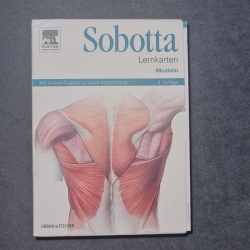 Sobotta lernkarten muskeln - lernkarten, 6