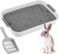 Kaninchen toilette mit - kaninchen,