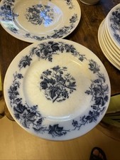 10x Teller, Brombeere Villeroy & Boch Dresden u. 1910 Signatur,Stempel.Abendbrot
